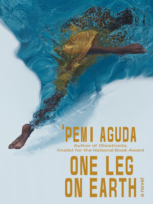 cover image of One Leg on Earth